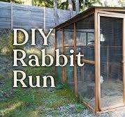 DIY rabbit run built from recycled material - Part 2