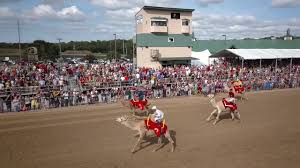 Wagers on camel, ostrich and zebra races aren't allowed, but guests can still bet on the horses that will also be racing. Videos 2019 Horsemen S Park Live Horse Racing Simulcast Facility Omaha Ne
