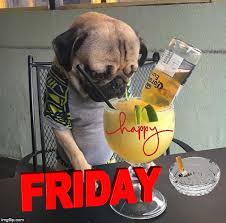 Here's an awesome happy friday meme collection for you. Happy Friday Funny Office Memes Novocom Top