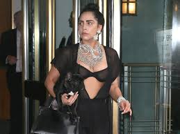 Lady gaga's 'born this way': Lady Gaga S Dog Walker Shot French Bulldogs Stolen In L A
