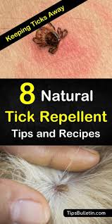 How to make a homemade flea and tick repellent. 8 Easy Effective Tick Repellent Solutions Natural Tick Repellent Tick Repellent For Dogs Homemade Tick Repellent