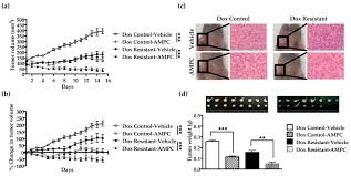 After you downloading your app apk from azulapk, but you do not know how to install it? Inhibition Of Tff3 Enhances Sensitivity And Overcomes Acquired Resistance To Doxorubicin In Estrogen Receptor Positive Mammary Carcinoma Abstract Europe Pmc