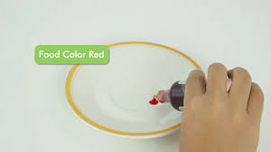 How To Make Brown Food Coloring 9 Steps With Pictures