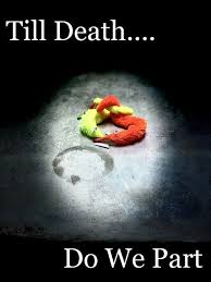 Check spelling or type a new query. 320 Worm Ideas In 2021 Worms Stupid Memes Funny Memes