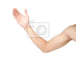 Verglichen mit menschen, die in afrika verhungern, sind menschen mit hartz iv nicht arm. Man Arm Mit Blut Adern Auf Weissem Hintergrund Fototapete Fototapeten Medicals Unterarm Transfusion Myloview De