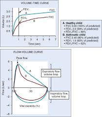 credible peak expiratory flow rate normal values chart peak