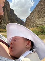 The desert is in bloom!