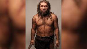 The neanderthal (short for neanderthal man, pronounced /niːˈændərtɑːl neanderthal stone tools provide further evidence for their presence where skeletal remains have not been found. Stone Age Teeth Hint At Neanderthal Interbreeding Cnn