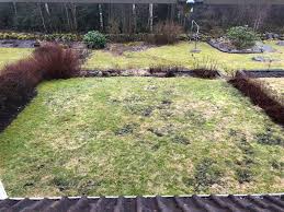 Image result for site:byggahus.se Algomin