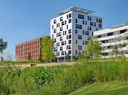 We did not find results for: Skaio Riese Mit Kronchen