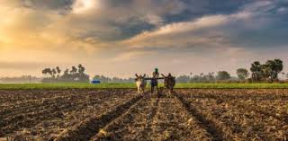 If you can ace this general knowledge quiz, you know more t. Geography Quiz Agriculture In India Trivia Questions Proprofs Quiz