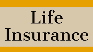 What Is Life Insurance Meaning Of Life Insurance Life Insurance 101 Life Insurance Policy Buy Life Insurance Online Life Insurance Companies