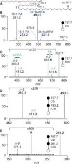 Get in touch with clara morais (@claramorais27) — 308 answers, 643 likes. Mass Spectrometry Directed Structure Elucidation And Total Synthesis Of Ultra Long Chain O Acyl W Hydroxy Fatty Acids Journal Of Lipid Research
