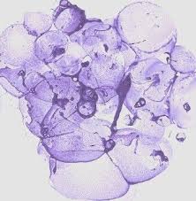 paintbubbles dutch site アートジャーナル