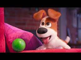La Vida Secreta De Tus Mascotas 1 Pelicula Espanol Latino Hd Youtube Modern Dog Toys Best Dog Toys Pets