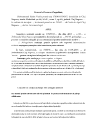 Apel impotriva unei sentinte penale. Cerere De Apel