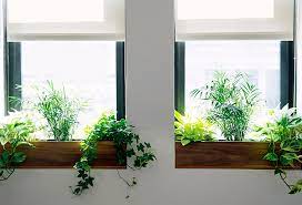See more ideas about indoor window, indoor plants, window plants. The Sill Terrain Planting A Window Box The Blog At Terrain Terrain