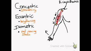 Concentric Eccentric Isometric Muscle Contraction Youtube Human Body Systems Muscle Contraction Eccentric Muscle Contraction