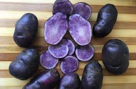 Vezi aici ultimele anunțuri cu apartamente de vanzare publicate de către particulari și agenții imobiliare. Cartofi Mov Pret Descopera Ofertele Cultivatorilor Din Tara