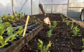 You might say gardeners have control issues but getting organized is a practical gardening skill every gardener should practice. What Tools Do I Need To Start A Vegetable Garden Gardening Faqs