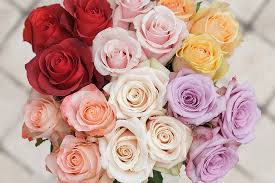 Can You Tell The Difference Between Pink And Rose? – Epicpew
