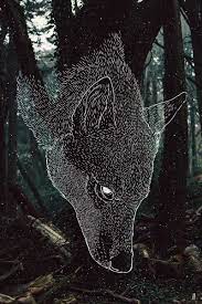 Forest Print From Dappermouth Art Inspiration Drawings Animal Drawings