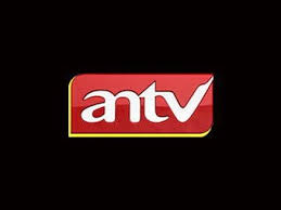 Live tv, news & ptv sports. Mivo Tv Antv