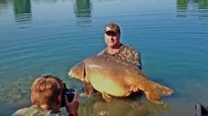 The approximately 6ha lake le giarette is situated near the city of treviso in the village of resana. Italien Carp Lakes Youtube