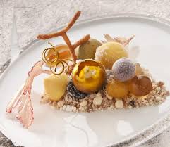 Image result for Botrytis cinerea