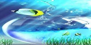 تحميل افضل برنامج خلفيات hd للصور في العالم للاندرويد 2020 wallpaper hd wallpaper fish pet wallpaper
