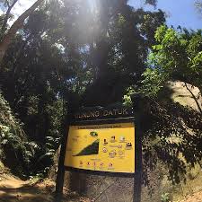 Gunung datuk 2018 tanjung tuan forest, beach and lighthouse, hiking bukit batu putih, port dickson, malaysia kawad kaki kadet bomba mahiss (p) #2013 my hong kong trip | jamie chua amazing waterfall in malaysia. Giant Millipede Picture Of Gunung Datuk Recreational Forest Rembau Tripadvisor