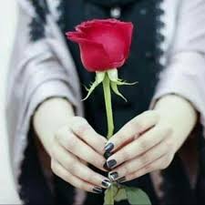 Pin By Uneza On Bagels Love Rose Flower Flowers Dp Flowers For You