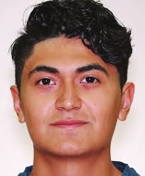 Insights From the Professor