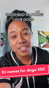 DJ NAMES FOR DOGS: EDC LAS VEGAS. should I do days 2 and 3? #edm #edmtiktok  #raversoftiktok #edclasvegas #edclv2021 #raver #festival