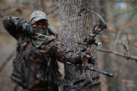 Check spelling or type a new query. Best Compound Bows Choose Good Hunting Bows For The Money