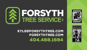 Introduce yourself with these business cards & make a terrific first impression. Kat Morris Murals Experienced Chattanooga Mural Painter Corporate Logo Forsyth Tree Service