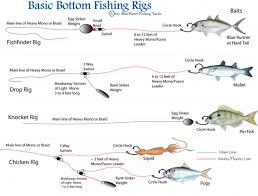 Essential Bottom Fishing Rigs A Comprehensive Guide To
