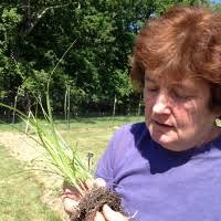 2016 SIPS Recognition & Awards