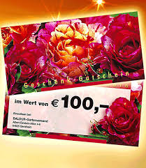 Jetzt fügen wir etwas sonderverkauf für sie hinzu! Geschenk Gutschein Im Wert Von 100 Geschenk Ideen Bei Baldur Garten