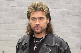 Billy ray cyrus has the quintessential country music mullet. Mullet Hairstyles And Haircuts Of Yesterday Mullet Hairstyle Hair Styles Smart Hairstyles
