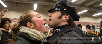 Swearing At Police Cause Public Disturbance Ron Jourard
