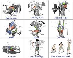 Gain 10 Pounds Of Muscle In 4 Weeks The Best Workouts For Muscle Gain Muscle Gain Workout Fun Workouts Best Gym Workout