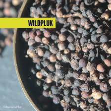 Image result for Piper guineense