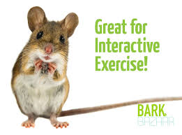 It was unfortunate to spill salt and rabbit's foot. Pin On Small Animal Cage