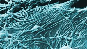 The first outbreak occurred in the democratic republic of congo (formerly zaire) in a village near the ebola river, which gave the virus its name. Ebola Congo Declares New Epidemic News Dw 01 06 2020