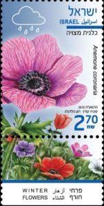 These are wild field flowers in palestine and almost certainly the wild anemones that were referred to by jesus as the lilies of the field in his sermon on the mount, as they still grow wild near the lake of galilee. Sello Anemone Coronaria Israel Winter Flowers Mi Il 2455 Isr Il 2343 Buy Sell Trade And Exchange Collectibles Easily With Colnect Collectors Co åˆ‡æ‰‹ æ¤ç‰© èŠ±