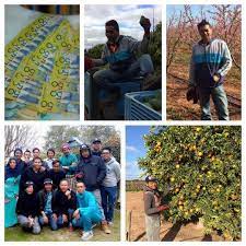 Pernahkah anda mendengar tentang program general skilled migration? Kerja Kosong Di Australia Korea Selatan Pagina Inicial Facebook