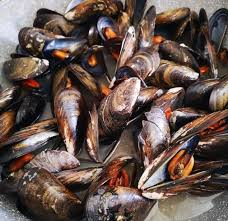 Maybe you would like to learn more about one of these? Cozze I Meravigliosi Mitili Che In Liguria Chiamano Muscoli Il Tigullio Com