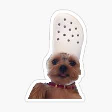 The dog's owner says a recent video shows that the croc did what crocs do. it ate the pooch. Croc Dogs Gifts Merchandise Redbubble