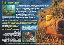 Giant Octopus Weird N Wild Creatures Wiki Fandom Octopus Wild Creatures Animals Beautiful